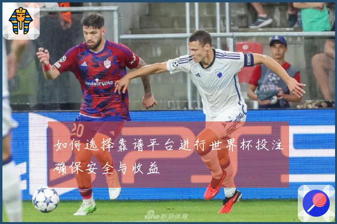 如何选择靠谱平台进行世界杯投注确保安全与收益