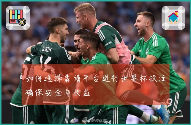 如何选择靠谱平台进行世界杯投注确保安全与收益