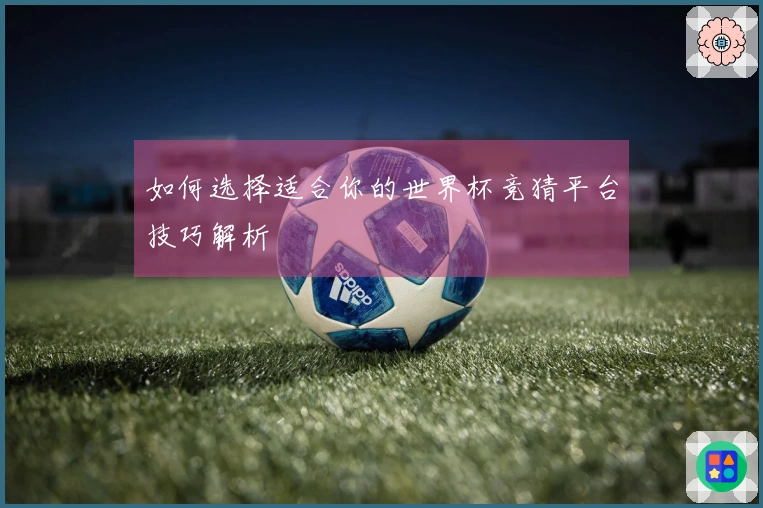 如何选择适合你的世界杯竞猜平台技巧解析